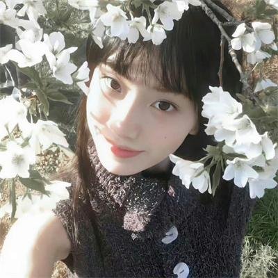 搞姬日常